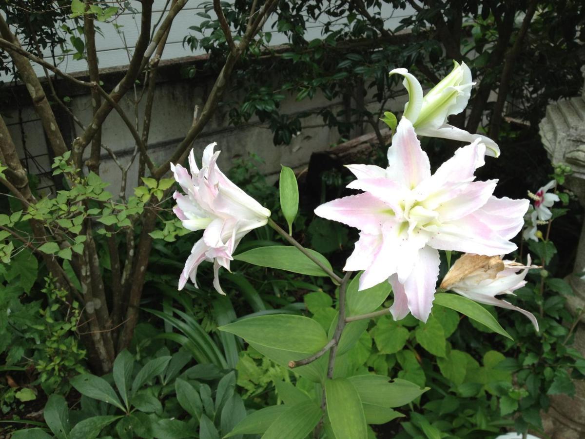 Otsu Nature Garden Akiruno Exterior foto
