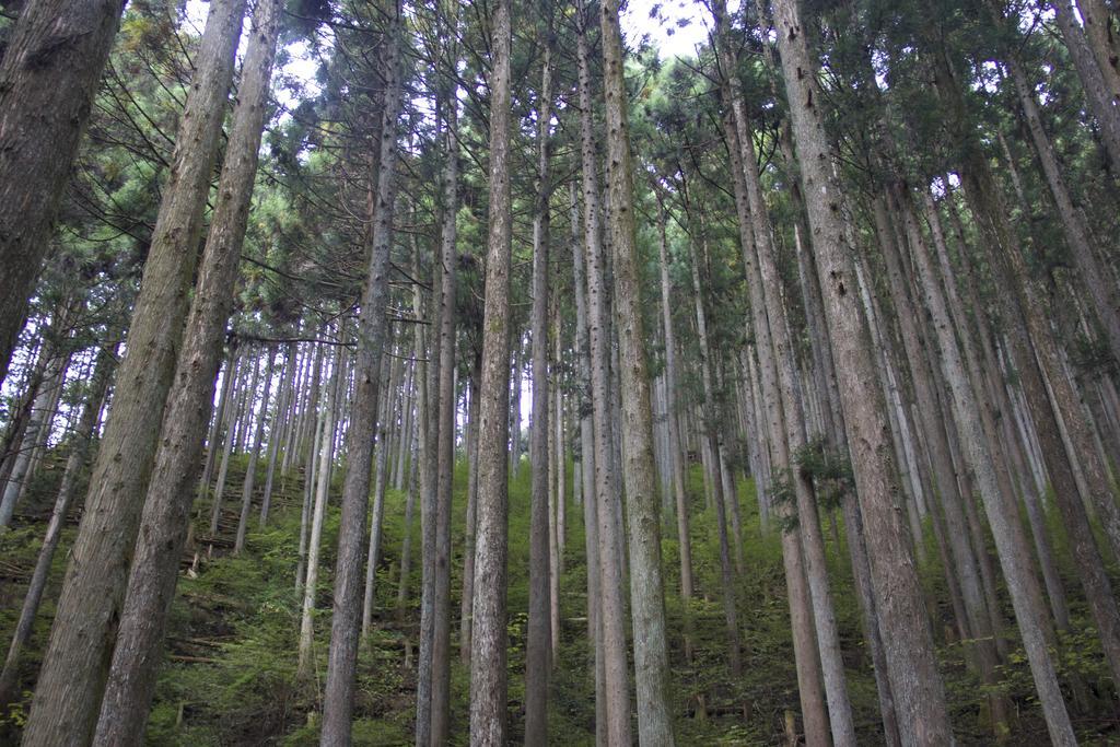Otsu Nature Garden Akiruno Exterior foto